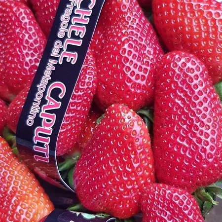La Fragola *